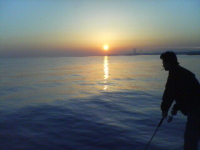 �V���ނ�I�s